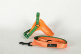 LEASH - Double Color Mango Orange Green