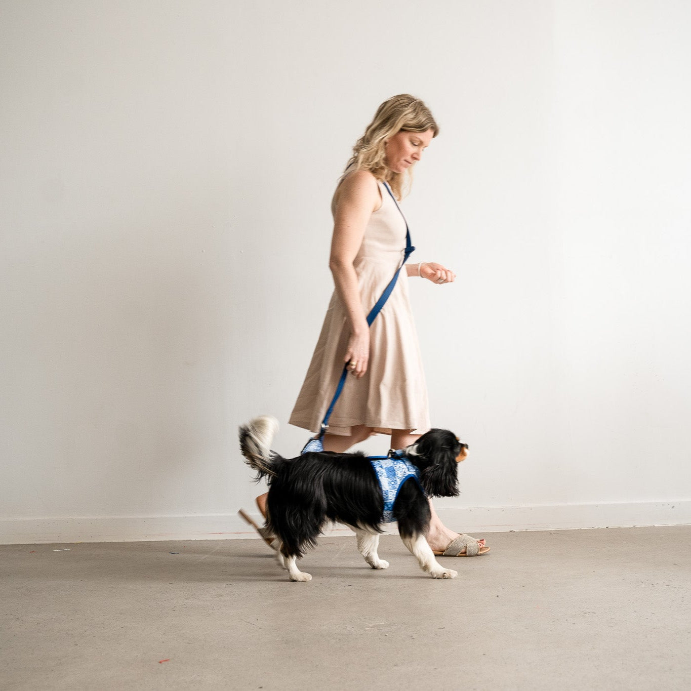 Hands-Free Multiway Dog Leash – Weatherproof PVC, 7ft | Navy