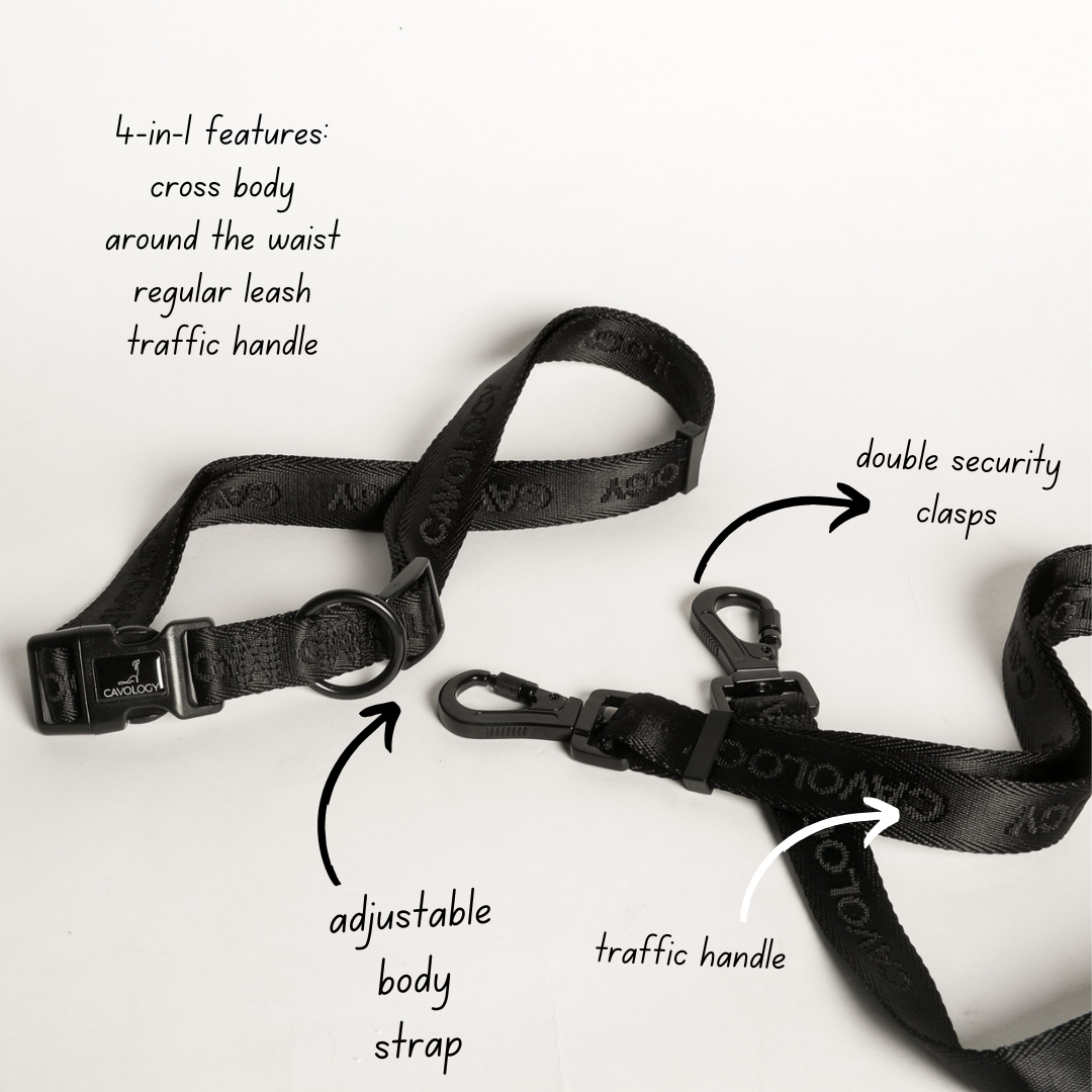 4-in-1 Hands-Free Dog Leash CREAM | Convertible Waist & Crossbody Walking Leash for Dog Parents