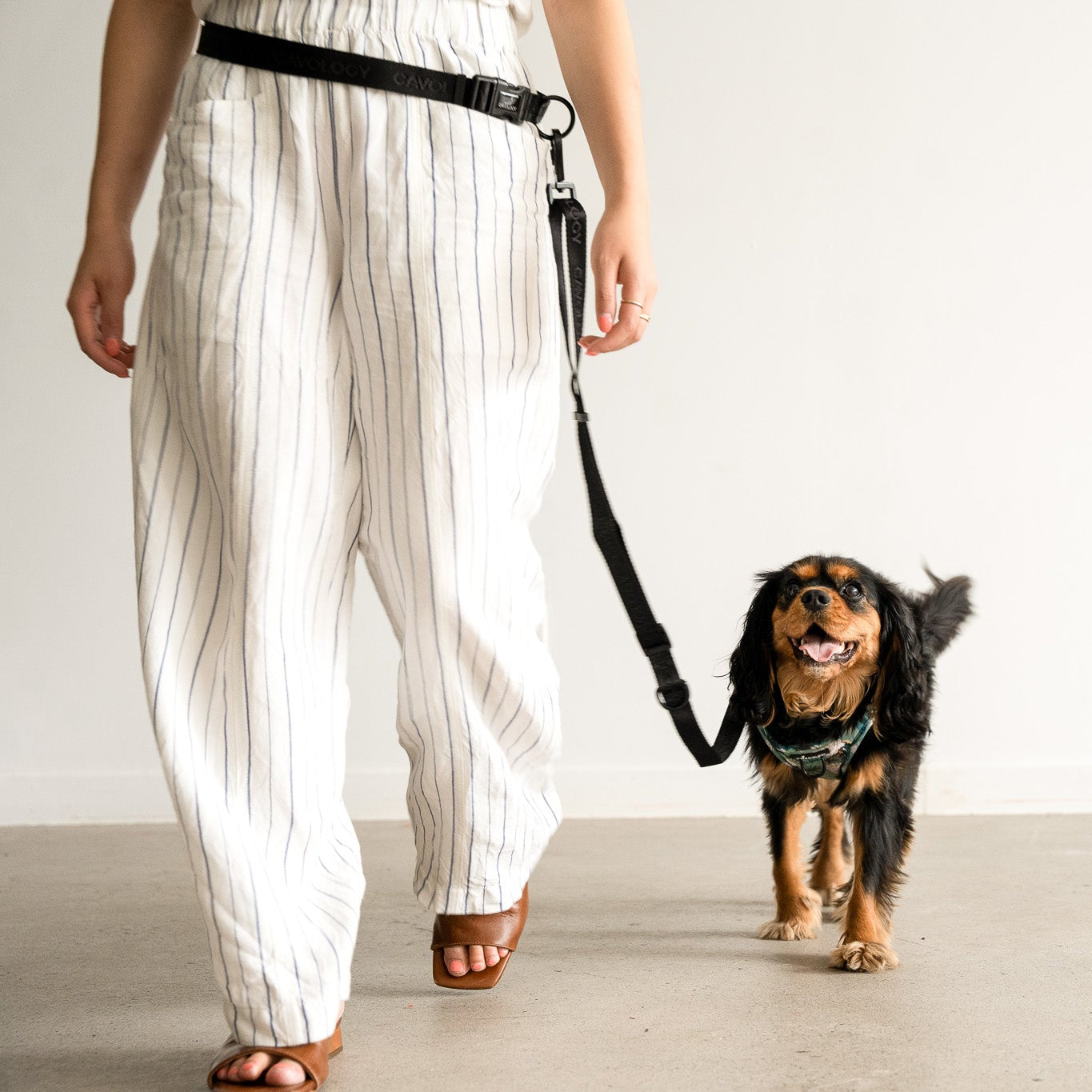4-in-1 Hands-Free Dog Leash BLACK | Convertible Waist & Crossbody Walking Leash for Dog Parents
