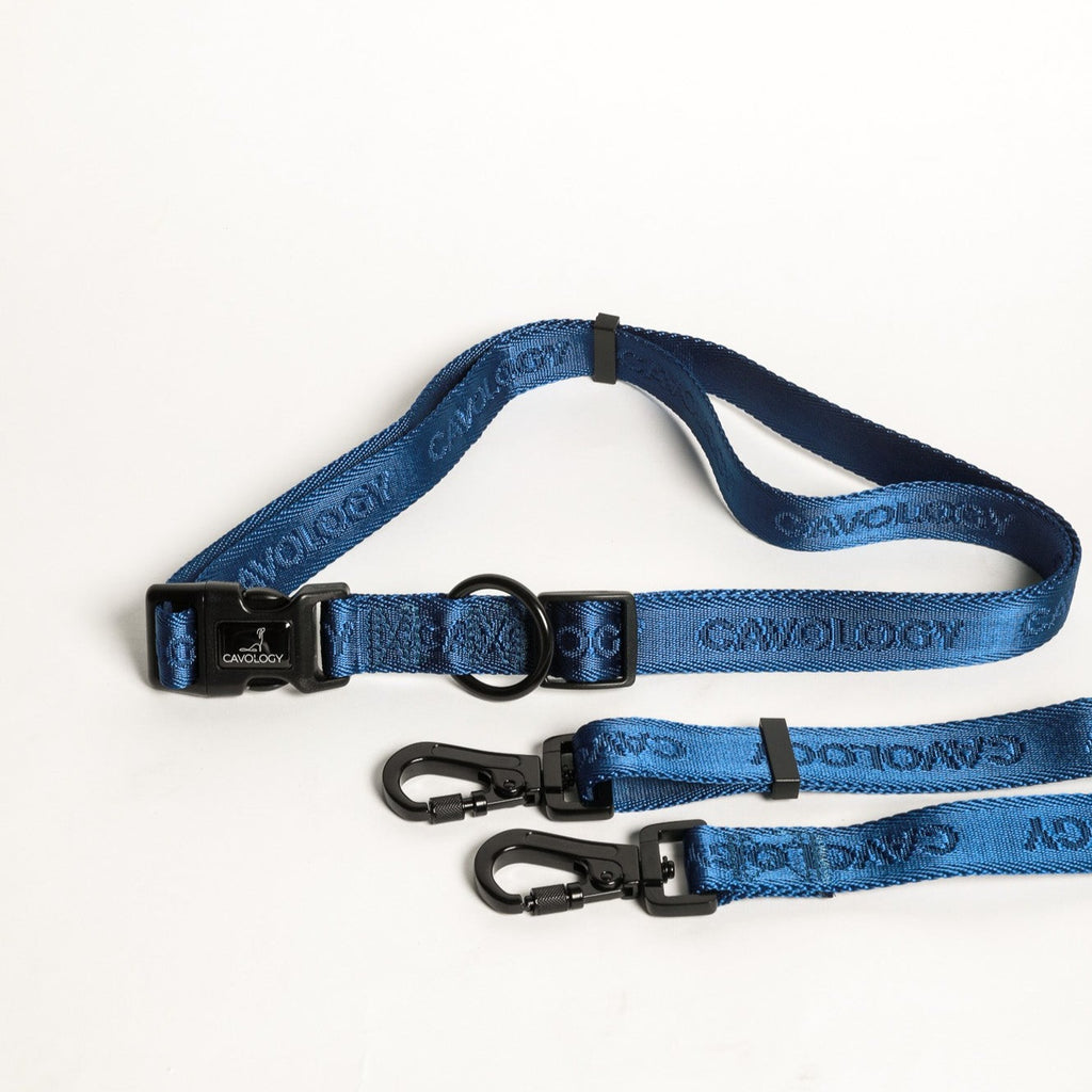 HANDS FREE LEASH V2 Navy Blue Cavology