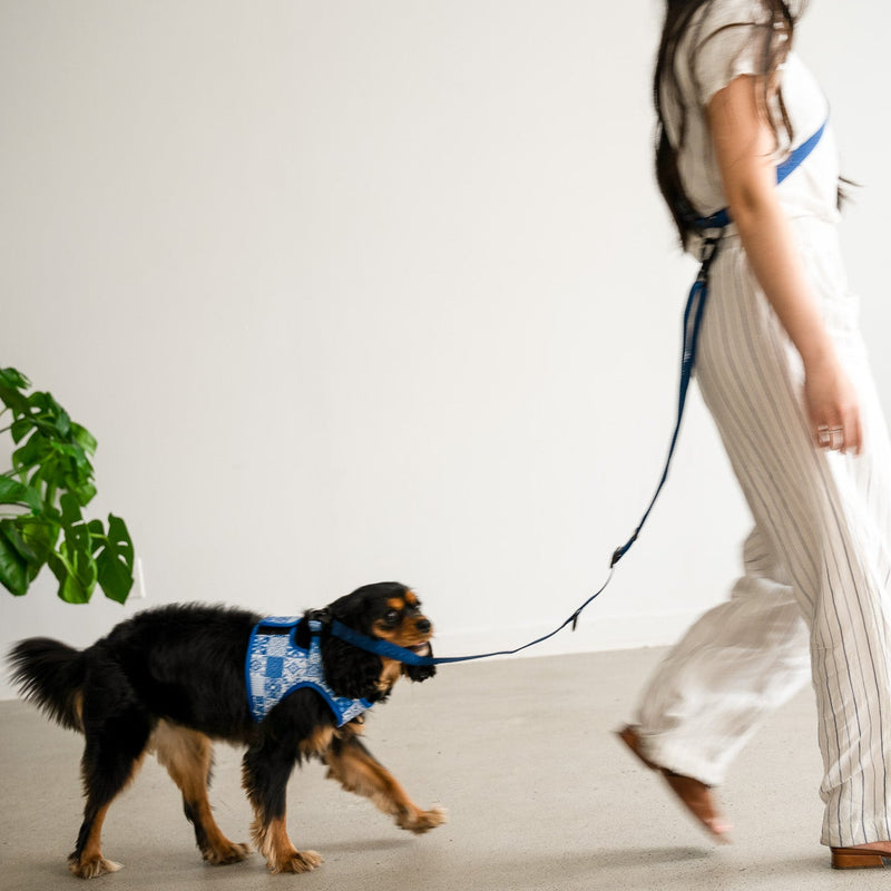 HANDS FREE LEASH - Navy Blue