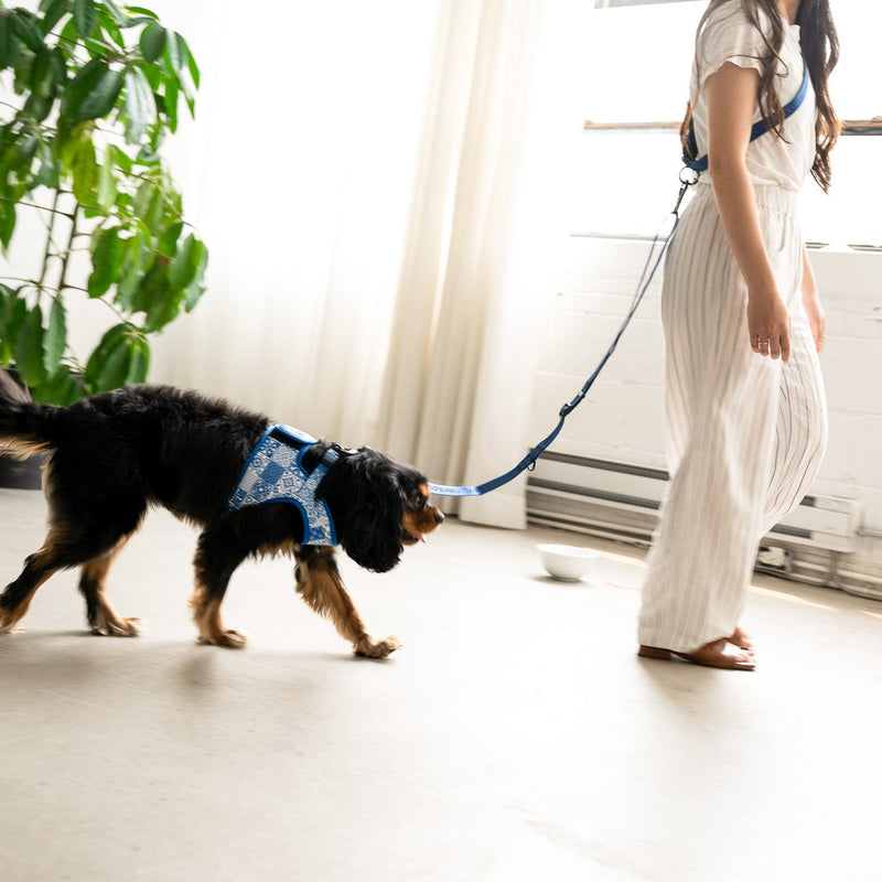 HANDS FREE LEASH - Navy Blue