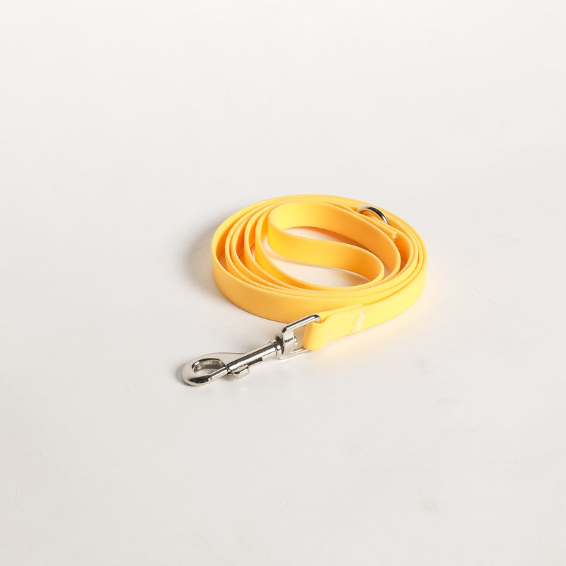 DOG LEASH TRAINING PUPPY YELLOW PVC