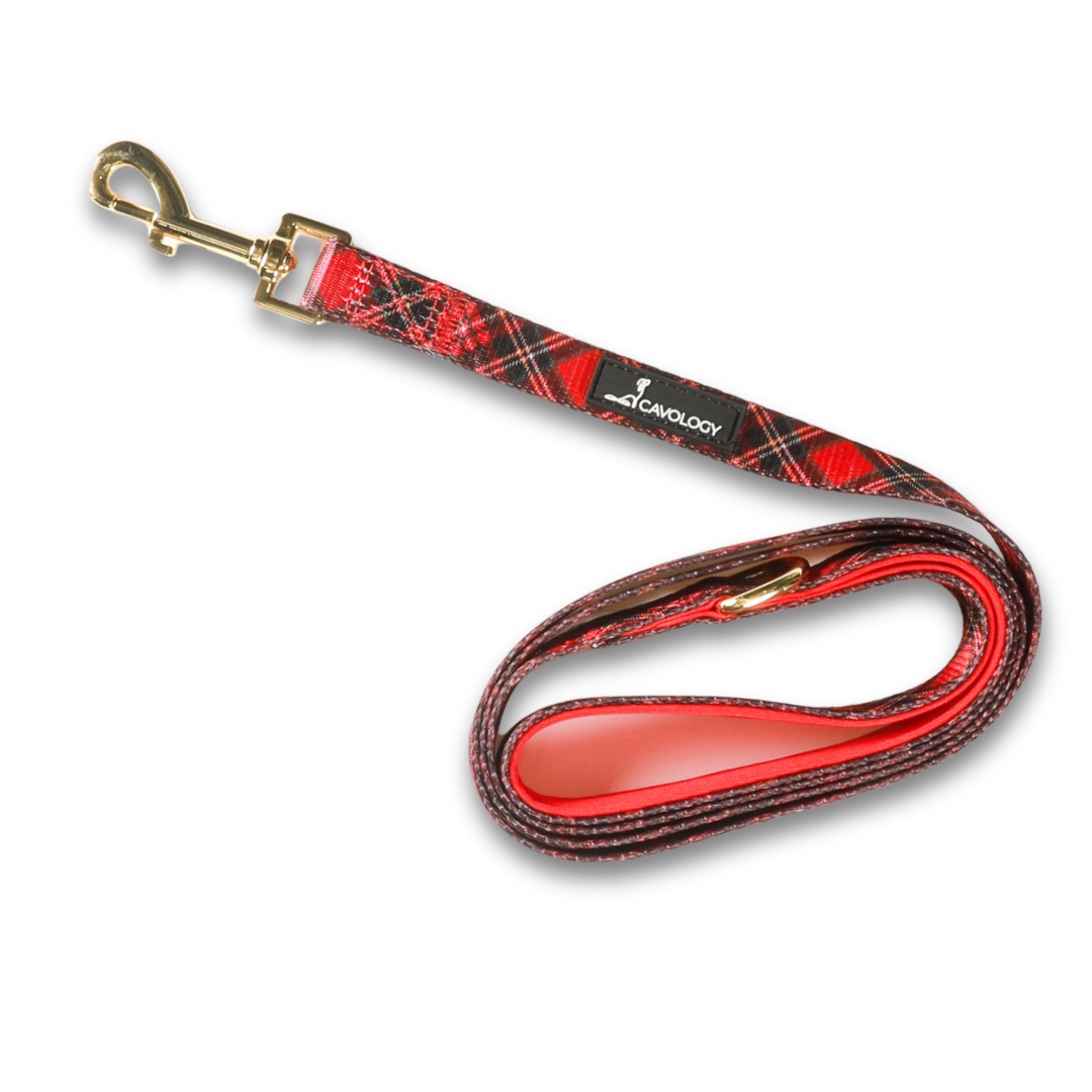 LEASH - Red Plaid Tartan Winter Wonderland