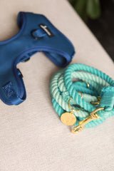 DOG LEASH HANDS FREE COTTON ROPE - Ombré Blue Teal Turquoise