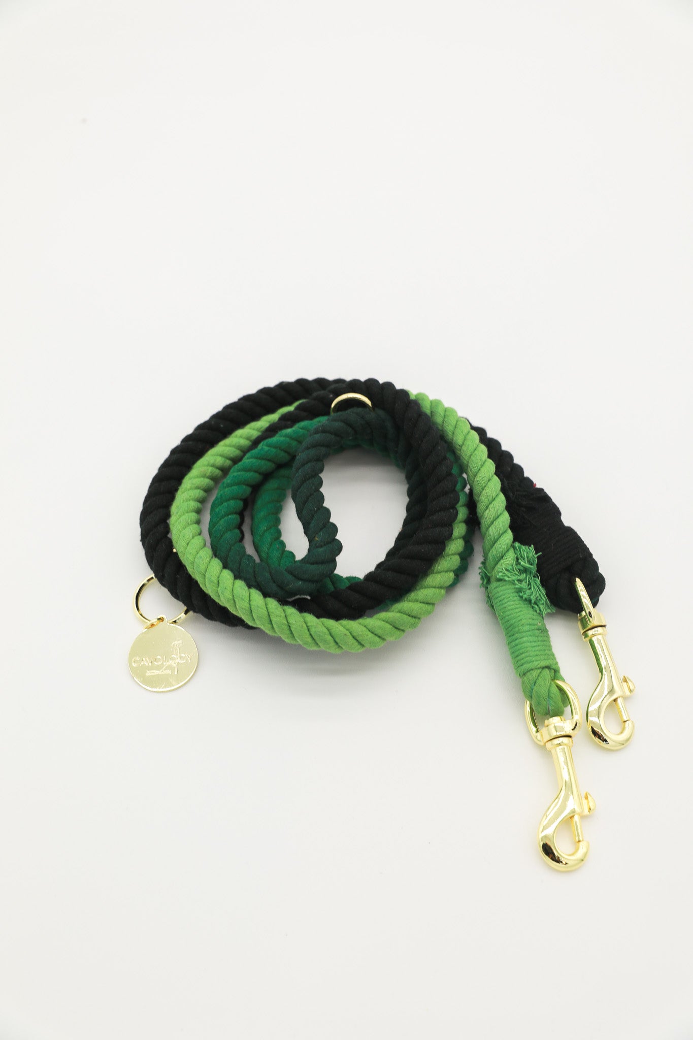 DOG ROPE LEASH HANDS FREE - Ombré Green Black