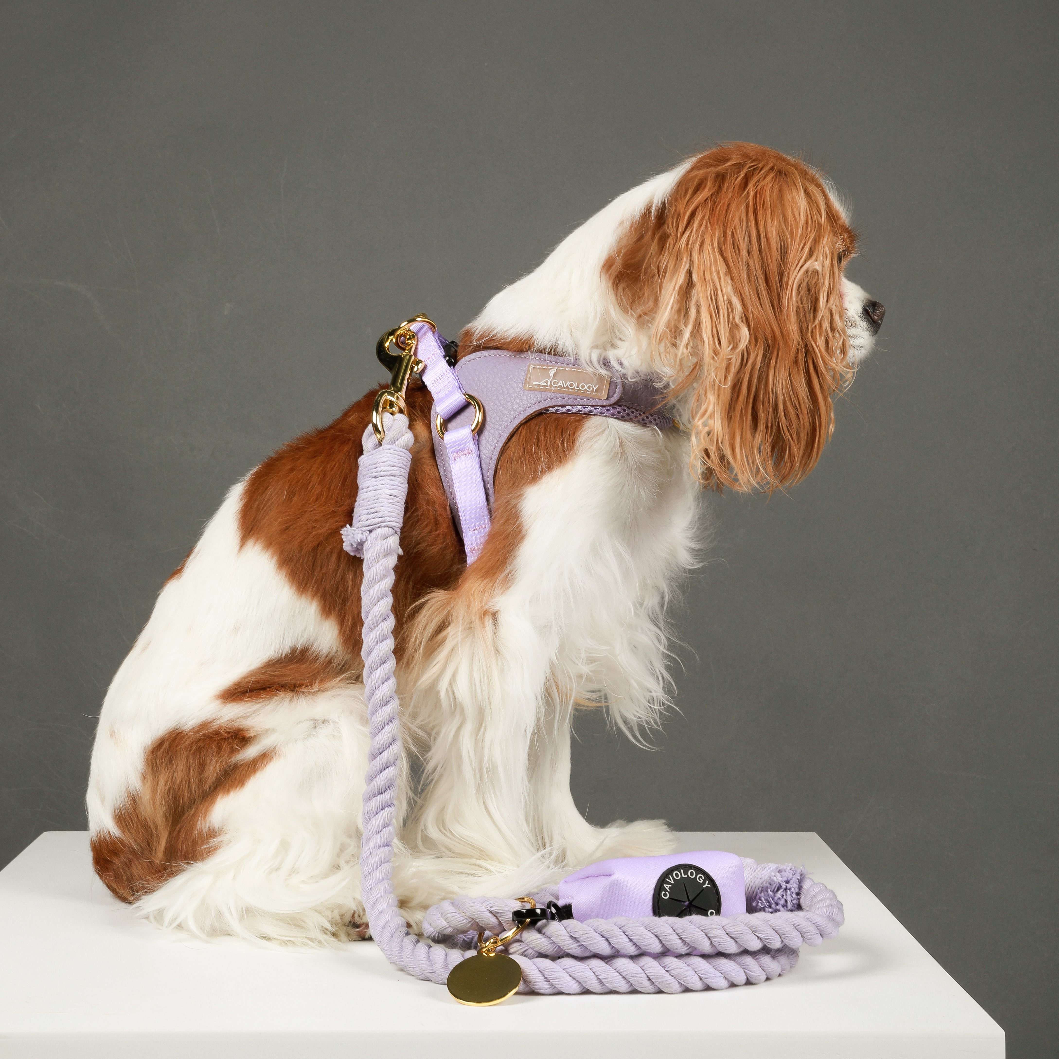 ROPE LEASH - Baby Lavender