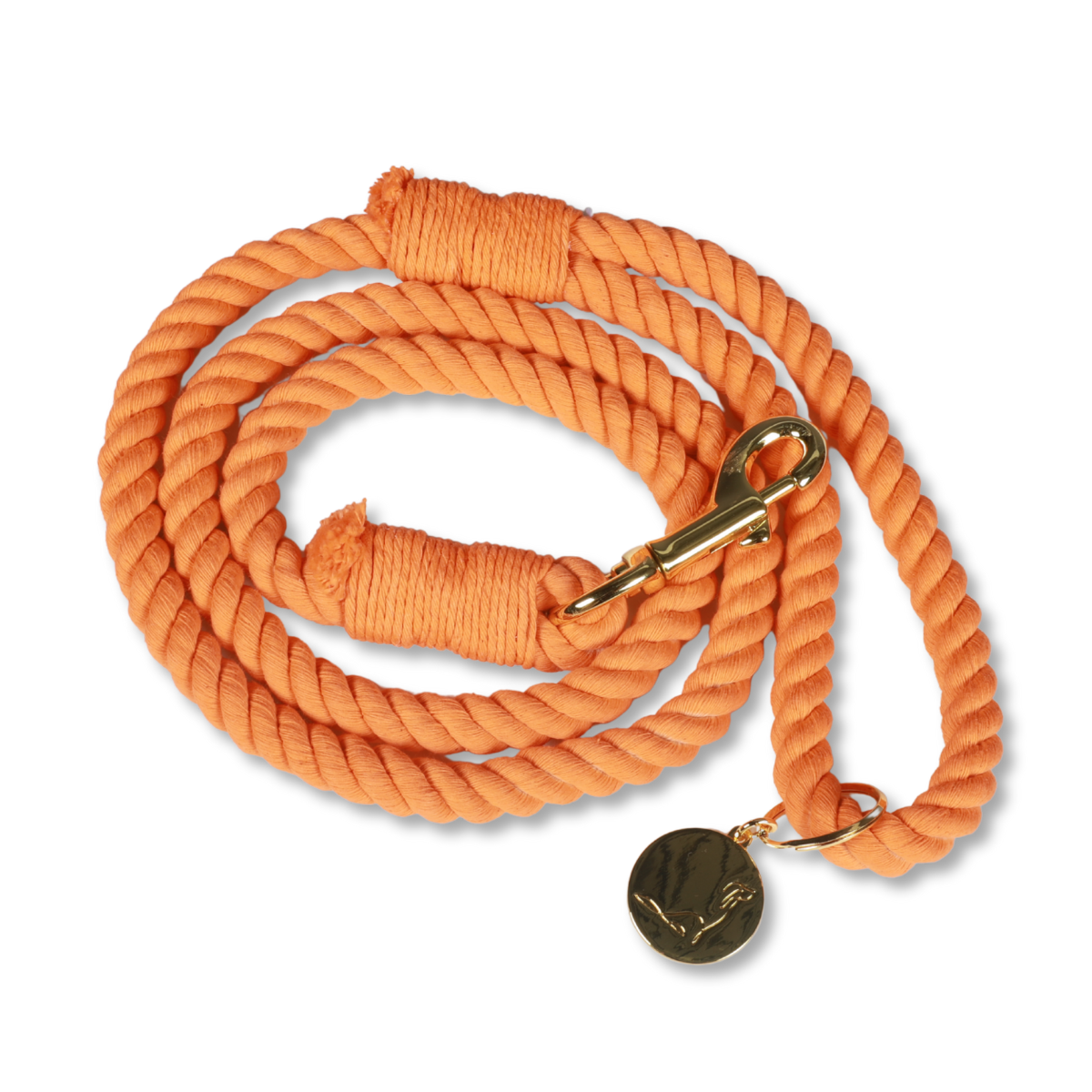 ROPE LEASH - Autumn Orange