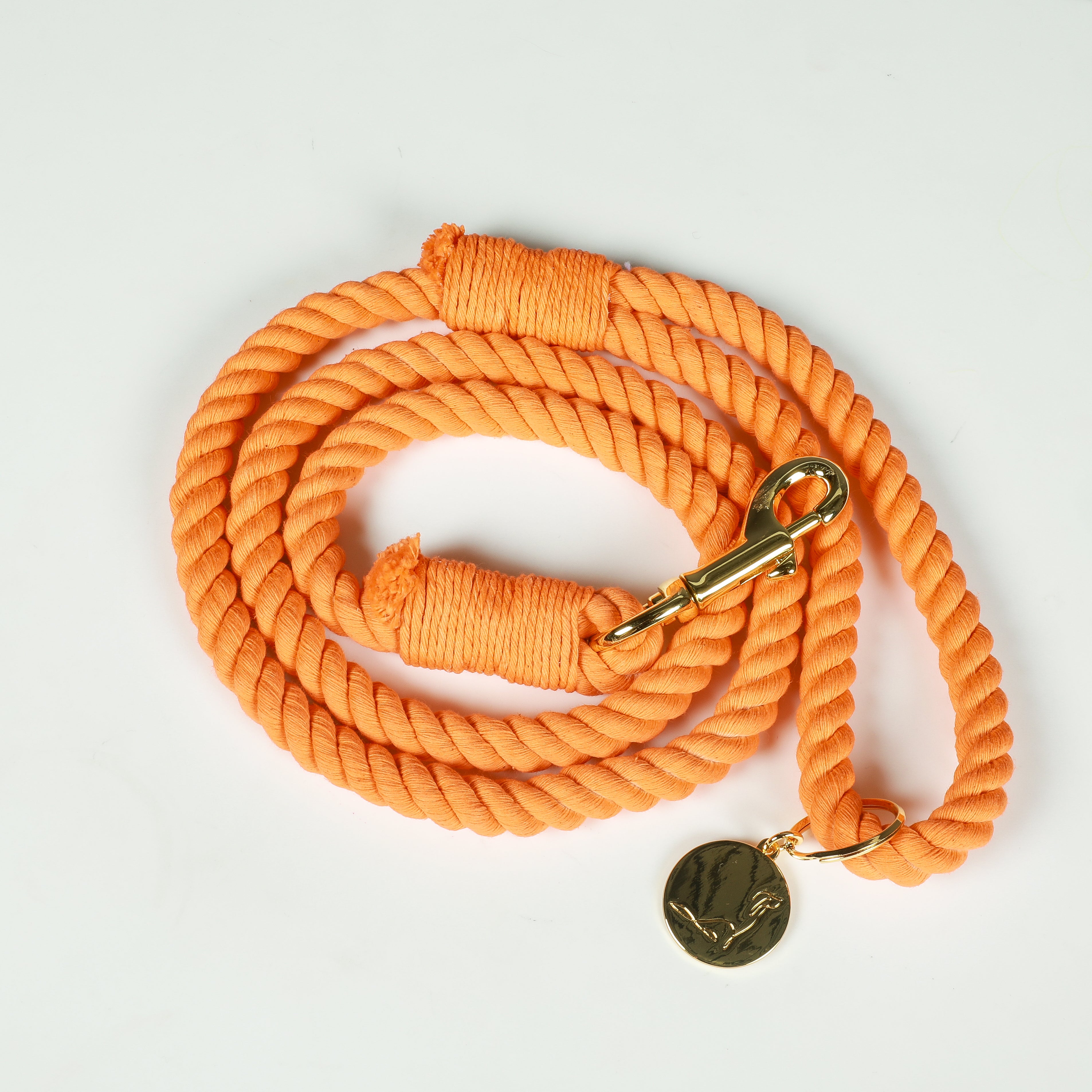 ROPE LEASH BUNDLE - Pumpkin Spice Orange Era