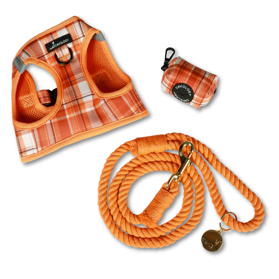 ROPE LEASH BUNDLE - Pumpkin Spice Orange Era