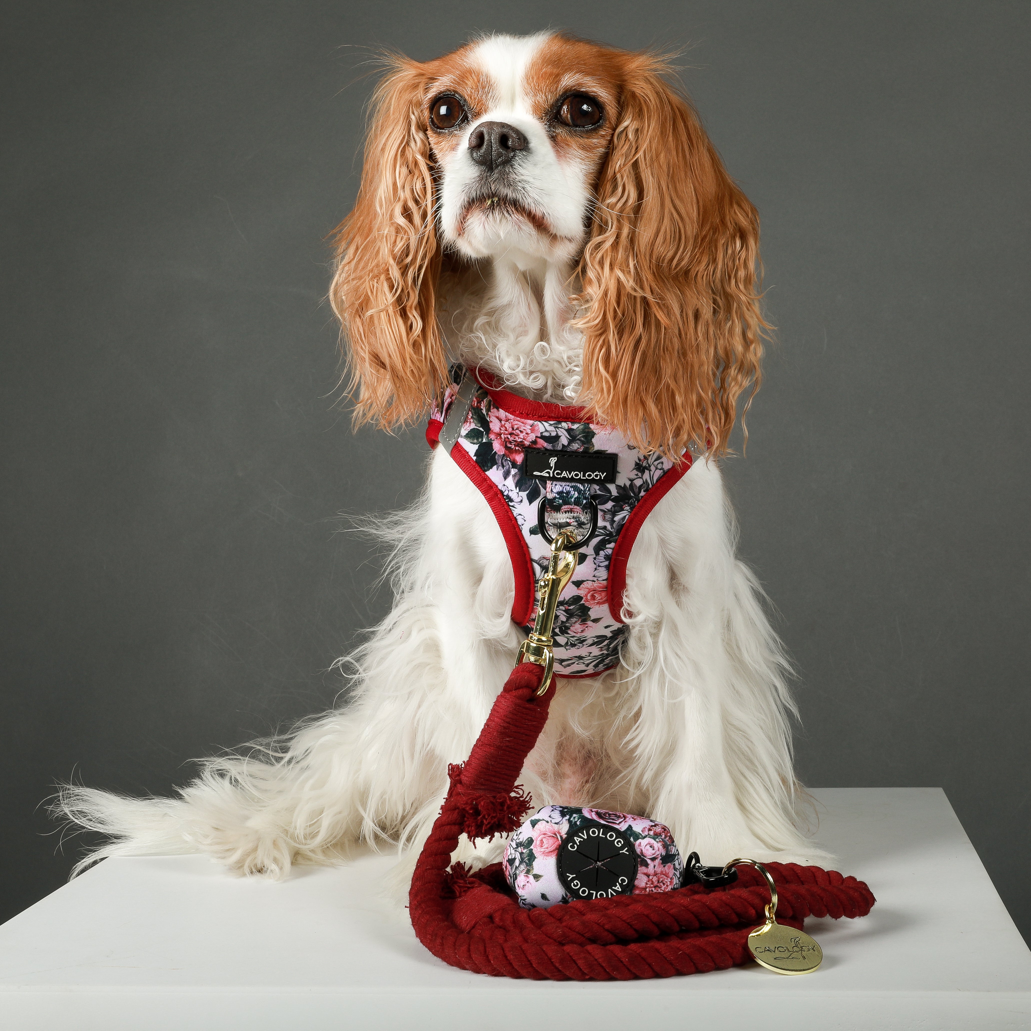 VEST STEP IN HARNESS - Autumn Roses