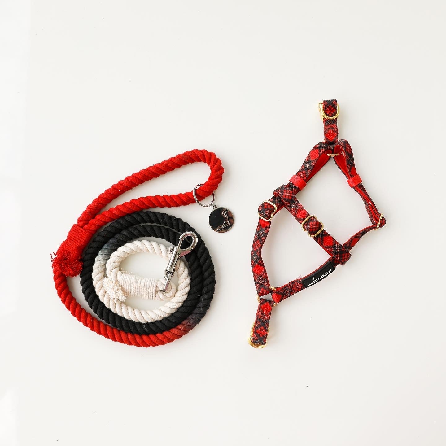 IMPERFECT ROPE LEASH - CAV OF HEARTS (White, Black, Red ombré)