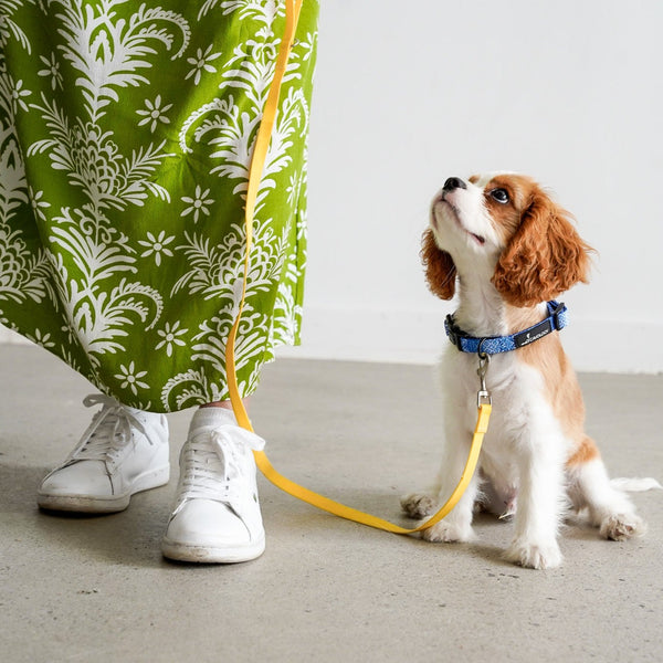 DOG LEASH TRAINING PUPPY YELLOW PVC