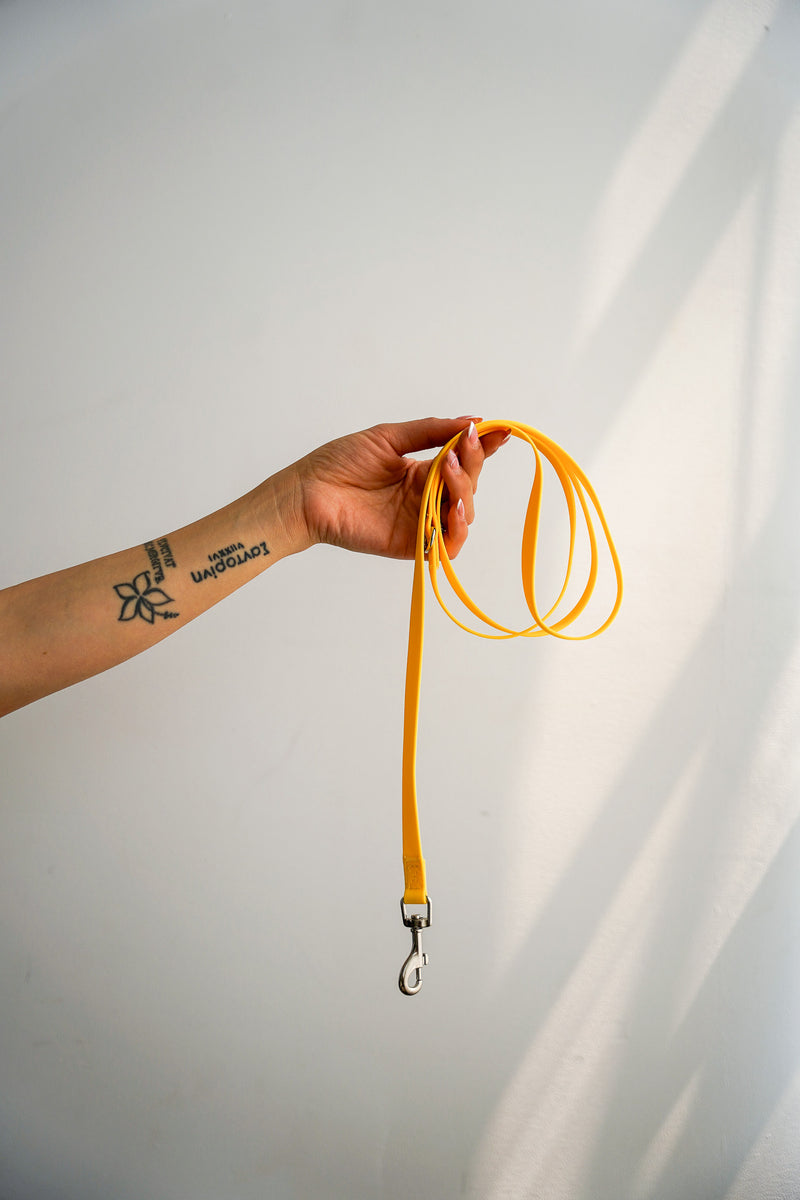 DOG LEASH TRAINING PUPPY YELLOW PVC