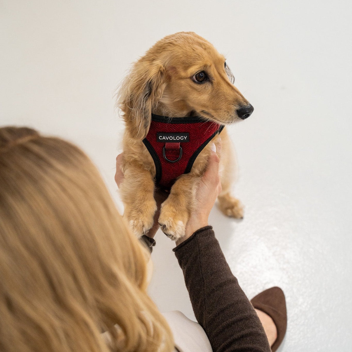 Cranberry Herringbone Vest Step In Dog Harness