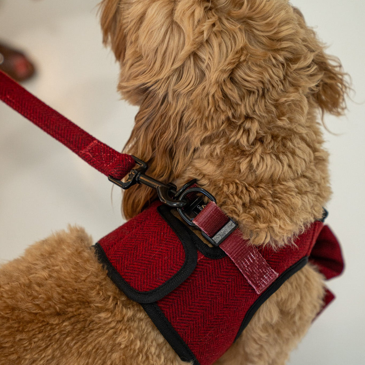 Cranberry Herringbone Dog Walking Bundle