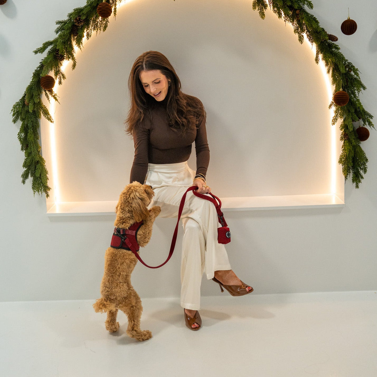 Cranberry Herringbone Dog Leash