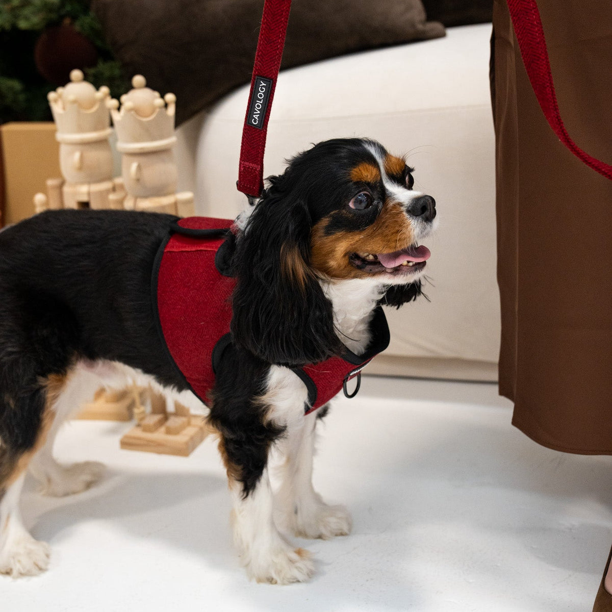 Cranberry Herringbone Dog Walking Bundle