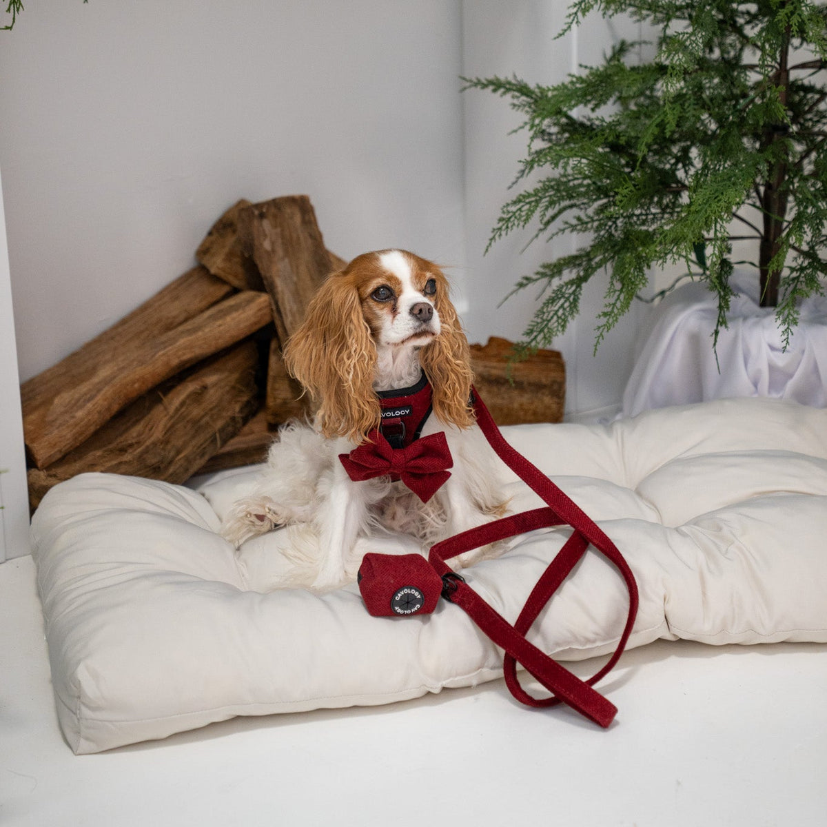 Cranberry Herringbone Dog Bow Tie