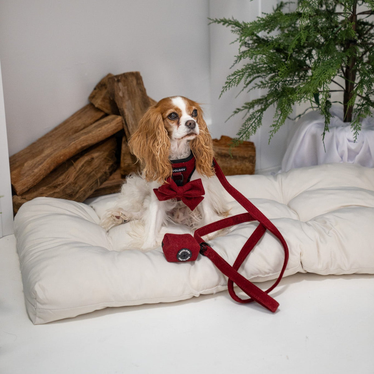Cranberry Herringbone Dog Leash