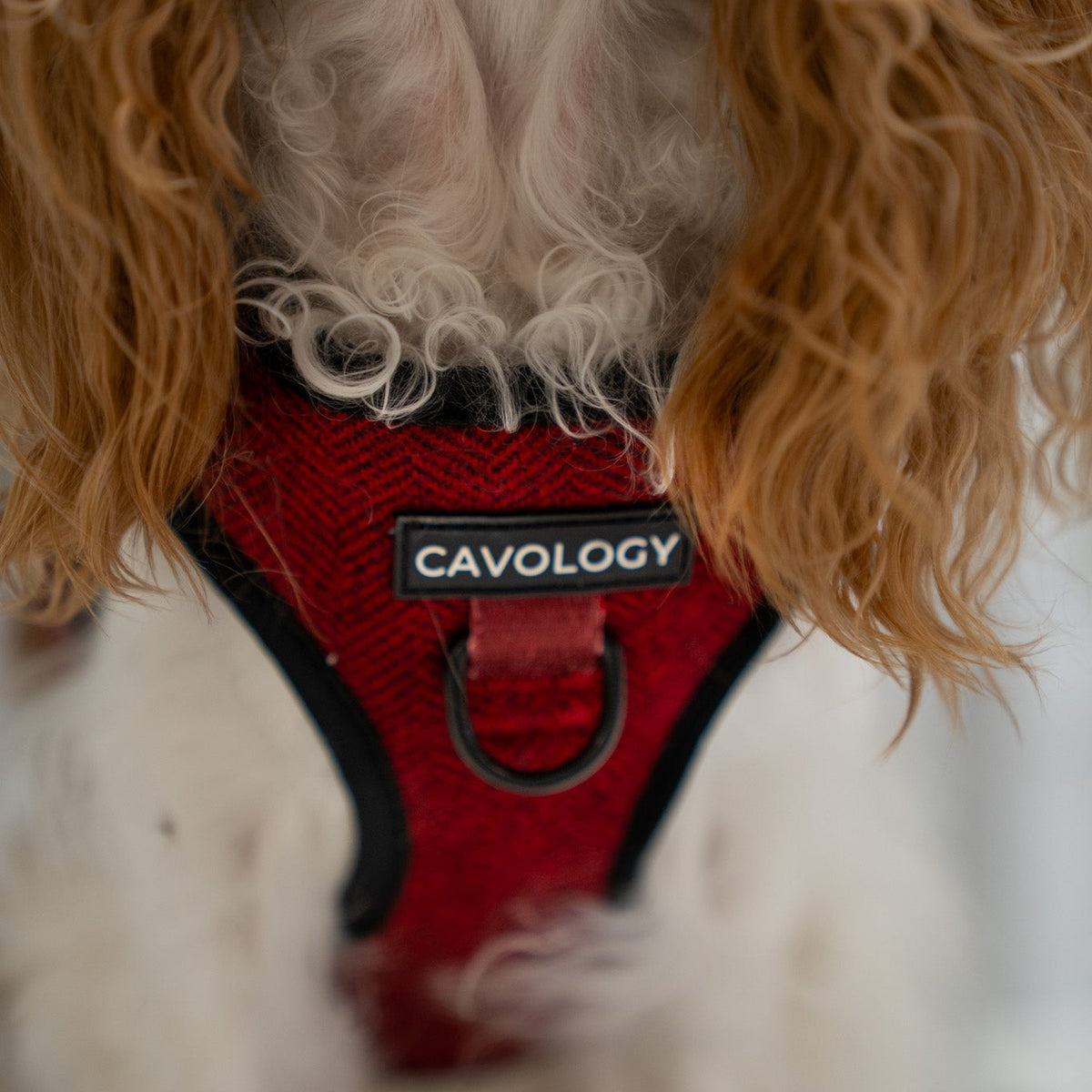 Cranberry Herringbone Vest Step In Dog Harness