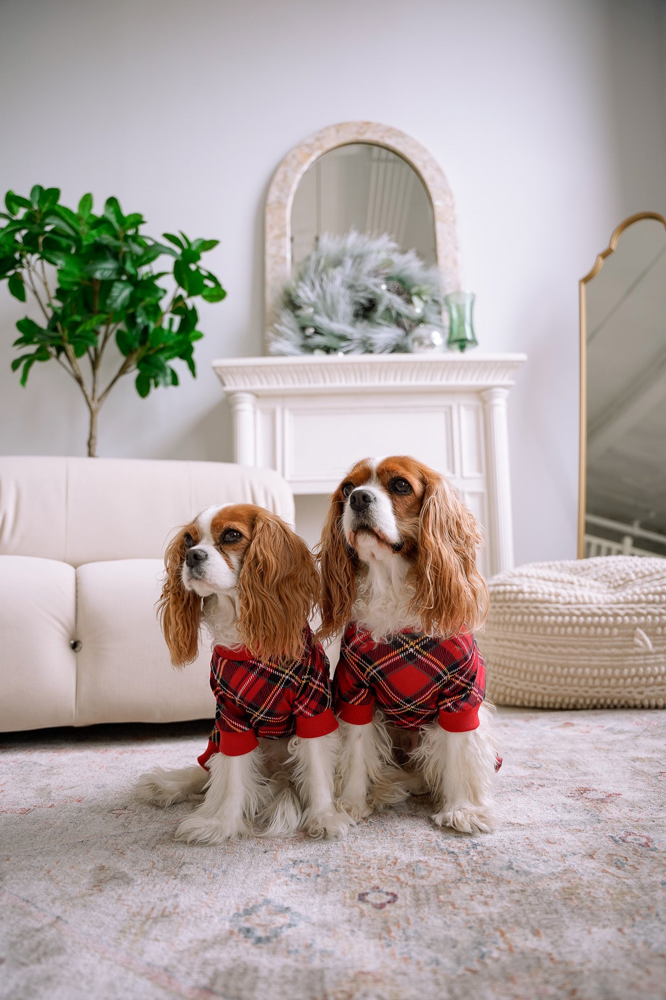 DOG PYJAMAS - Red Plaid Tartan Winter Wonderland