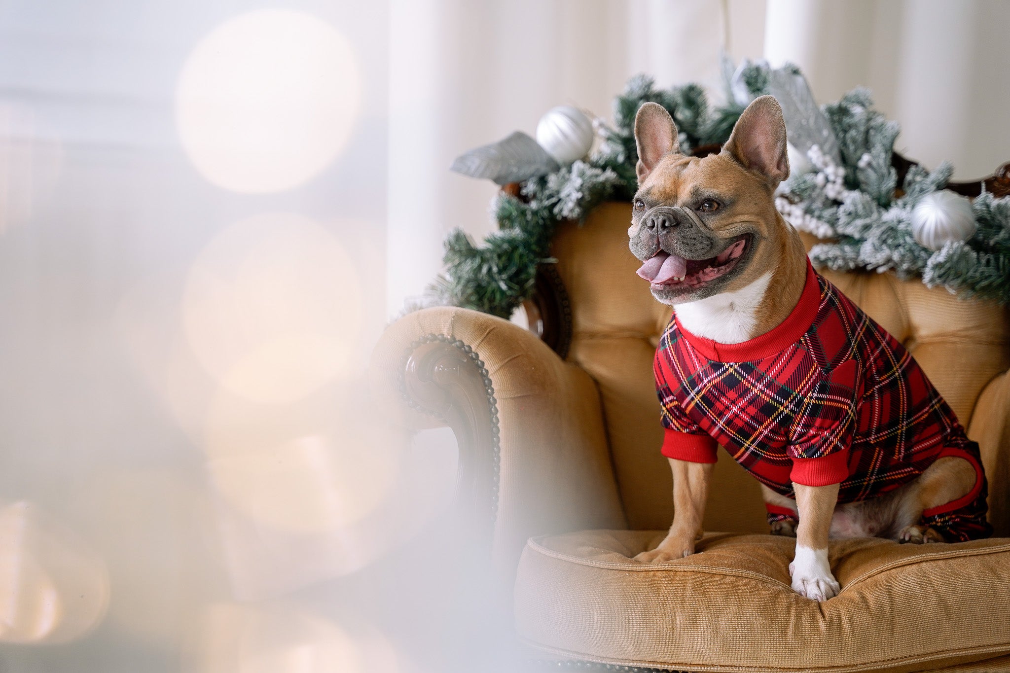 DOG PYJAMAS - Red Plaid Tartan Winter Wonderland