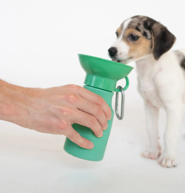 SPRINGER WATER BOTTLE MINI 15OZ