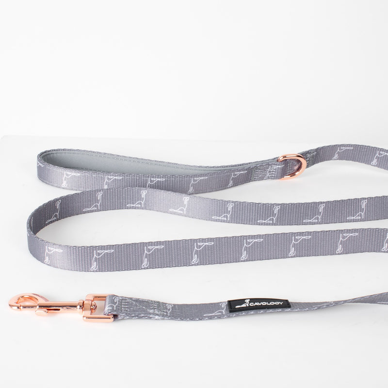 LEASH - Signature Ash
