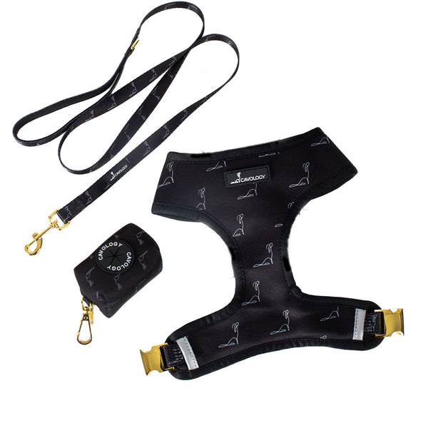 BUNDLE - Reversible Harness Signature Onyx