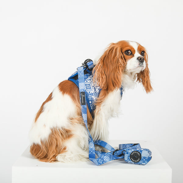 DOG LEASH - Blue Tiles LISBON