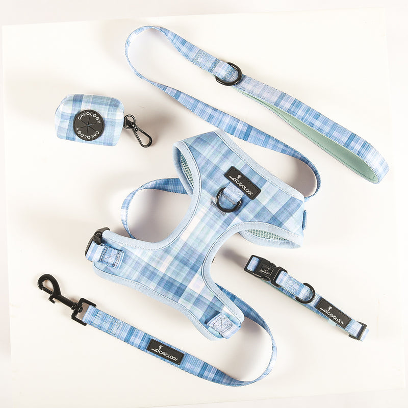 BUNDLE - BLUE PLAID In The Clouds