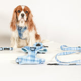 BUNDLE - BLUE PLAID In The Clouds