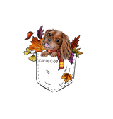 TSHIRT - Fall Ruby