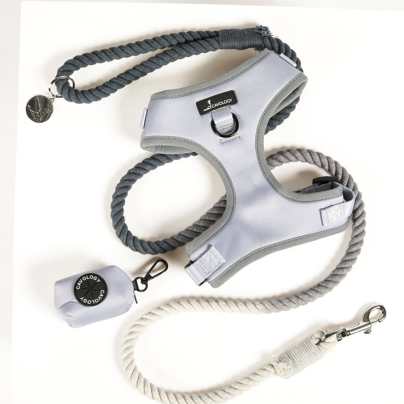 DOG ROPE LEASH BUNDLE - Grey Whistler