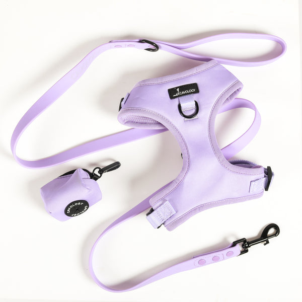 DOG LUXE LEASH BUNDLE - Lavender Purple Aspen