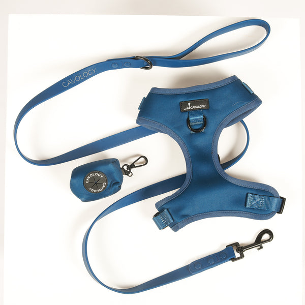 DOG LUXE LEASH BUNDLE - Navy Blue Zermatt
