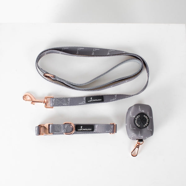 BUNDLE - Collar Signature Ash