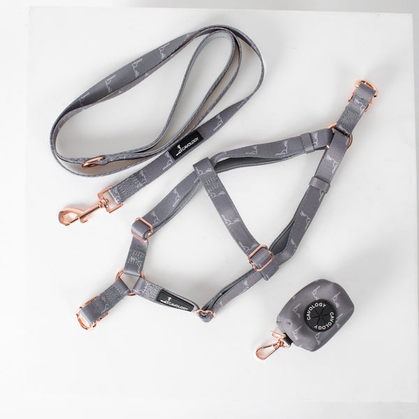 BUNDLE - Step In Harness Signature Ash