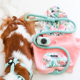 BUNDLE - Fiji Juliet