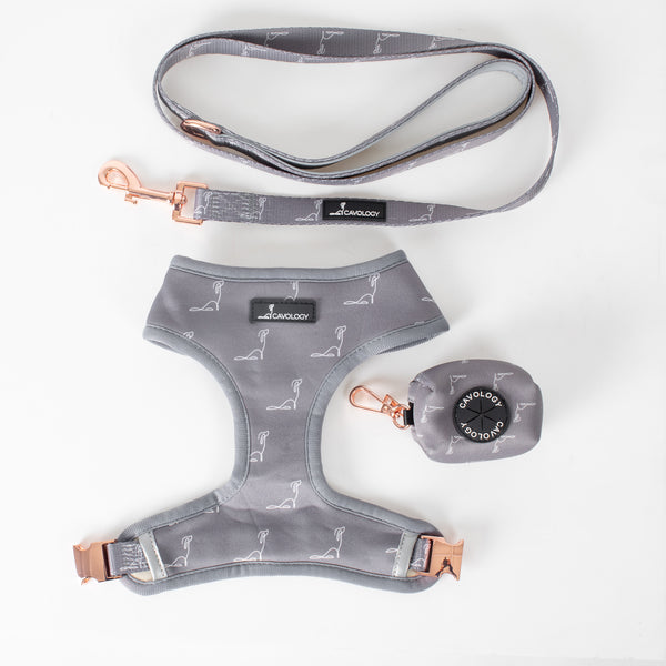 BUNDLE - Reversible Harness Signature Ash