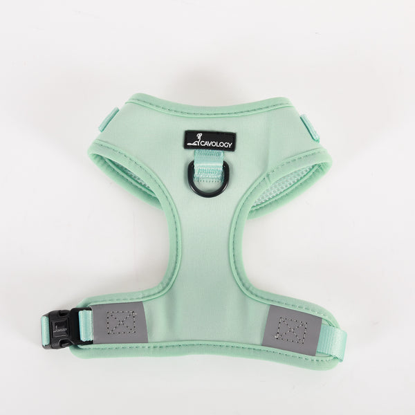 ADJUSTABLE HARNESS - Mint Julep