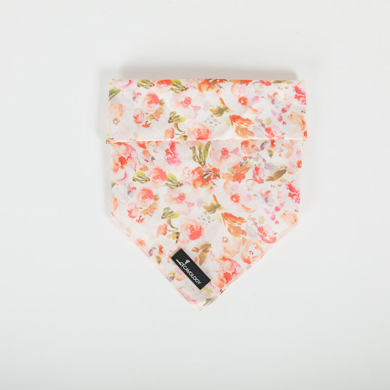 Bandana - Kyoto