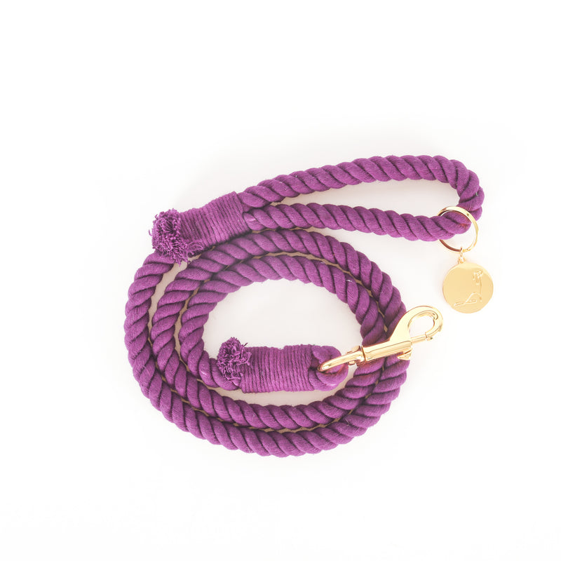 ROPE LEASH - TEA ROSE