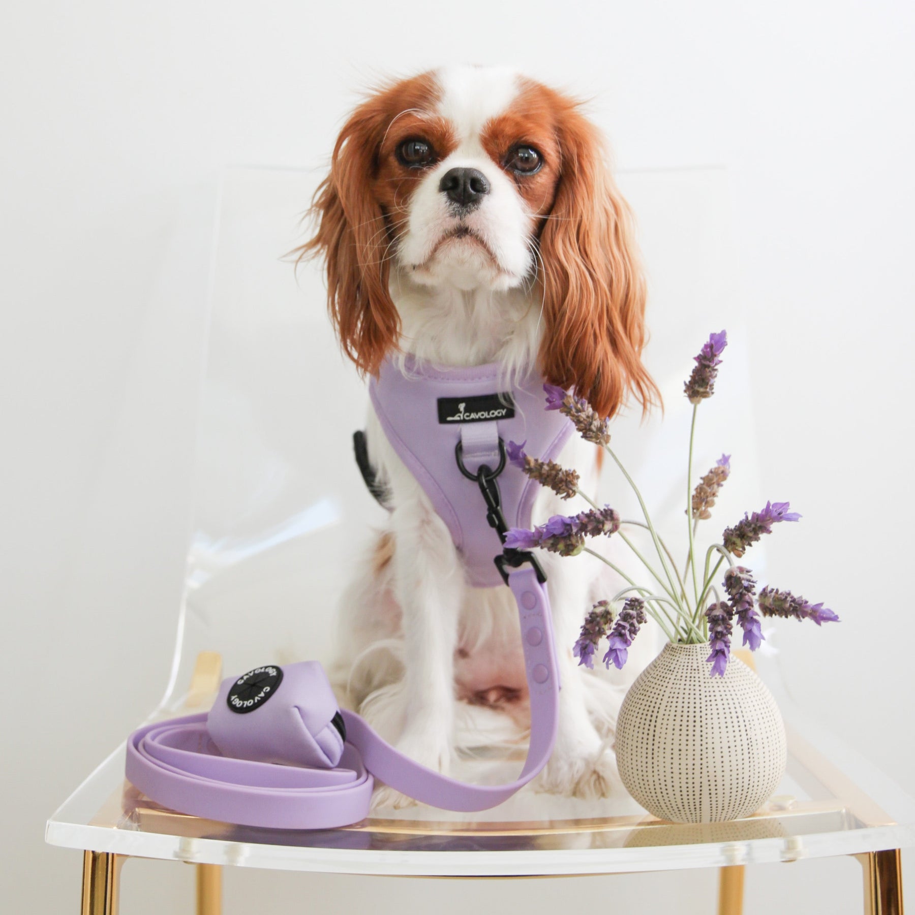 ADJUSTABLE HARNESS - Aspen Lavender