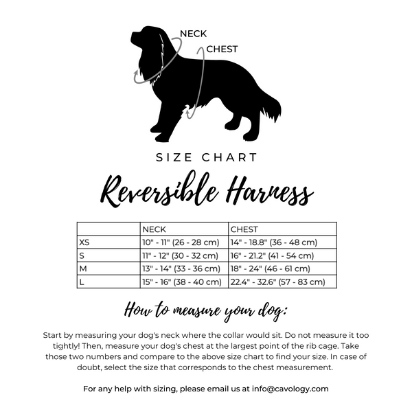 REVERSIBLE HARNESS - Signature Onyx