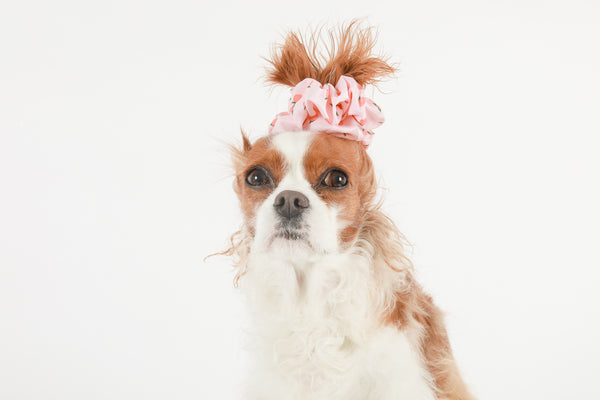 SCRUNCHIE - Peachy