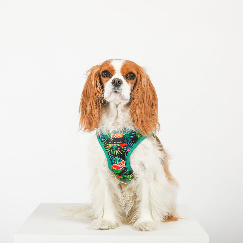 DOG HARNESS VEST STEP IN - Tropical Rio