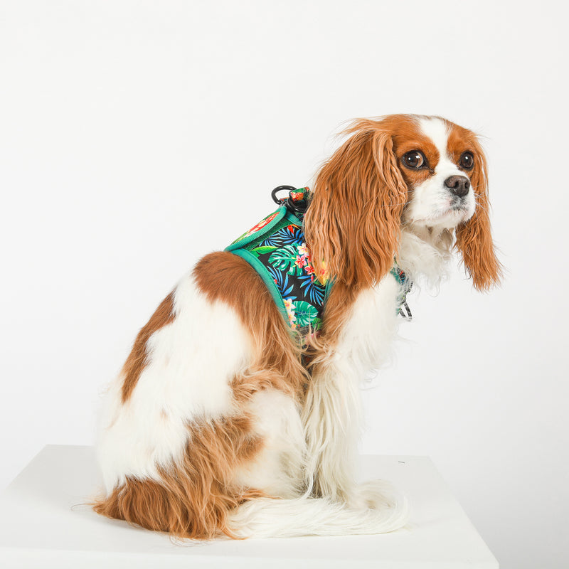 DOG HARNESS VEST STEP IN - Tropical Rio
